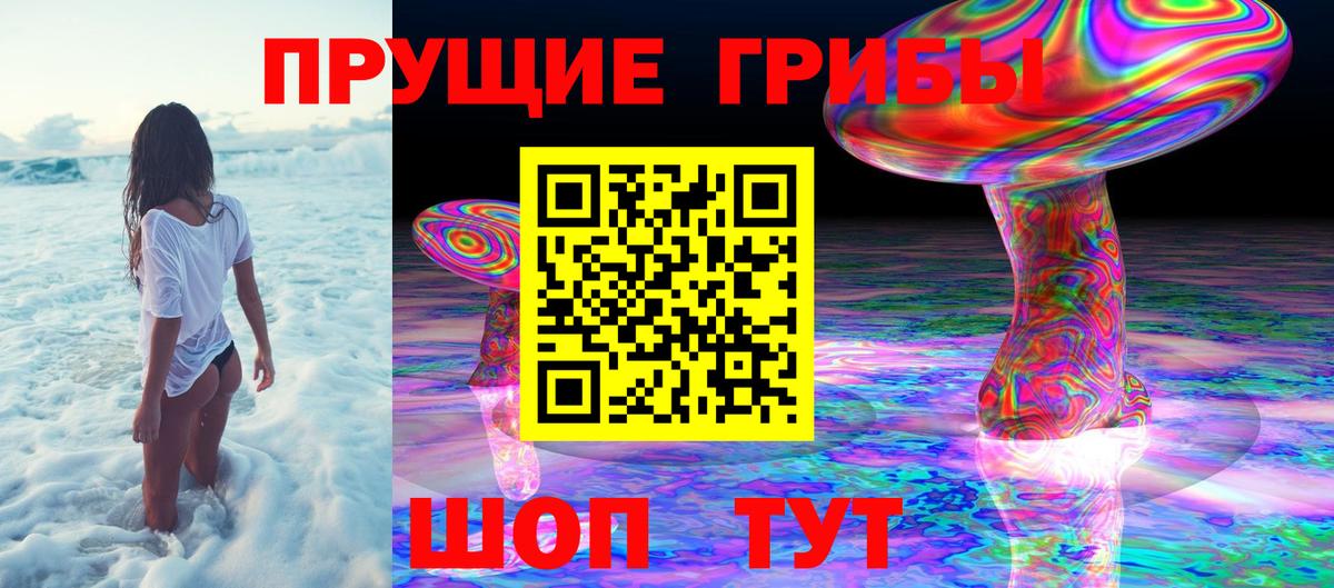 Галлюциногенные грибы Psilocybine cubensis  Псилоцибиновые грибы MAGIC MUSHROOMS  наркотики  Вход с VPN  Петрозаводск 